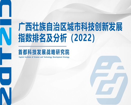 男人女人操逼阿啊阿啊【成果发布】广西壮族自治区城市科技创新发展指数排名及分析（2022）